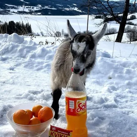 Lomen Gardshytter I Valdres H8 Vestre Slidre