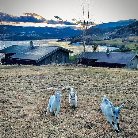 Holiday home Lomen Gardshytter I Valdres H8 *